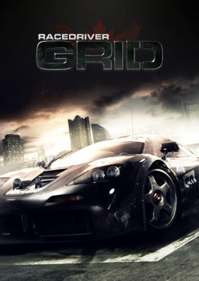 Professional Racer free download
